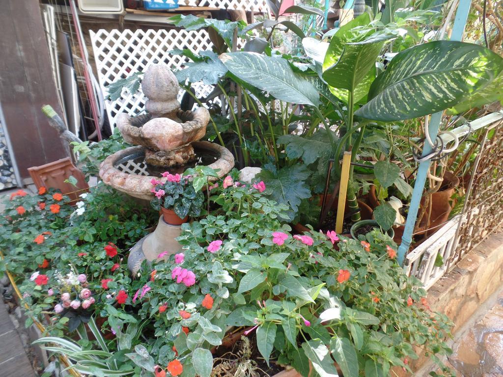 Cozy Garden Jerusalém Exterior foto