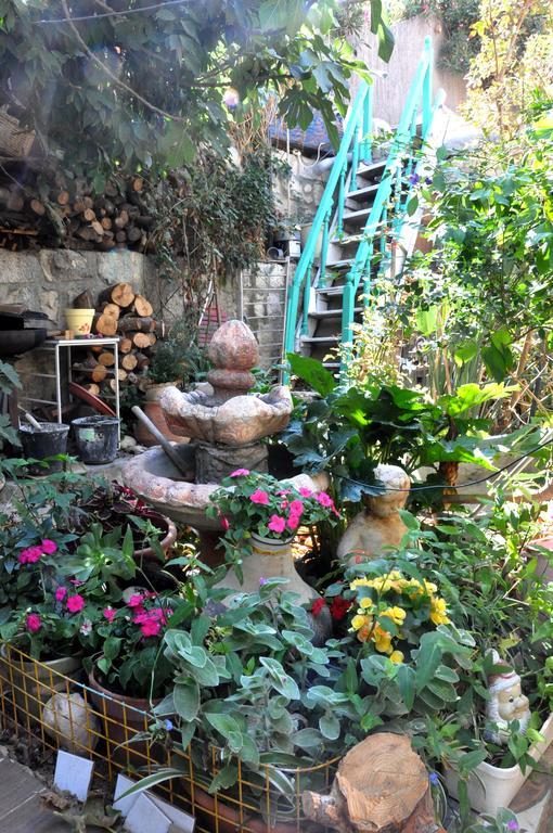 Cozy Garden Jerusalém Exterior foto
