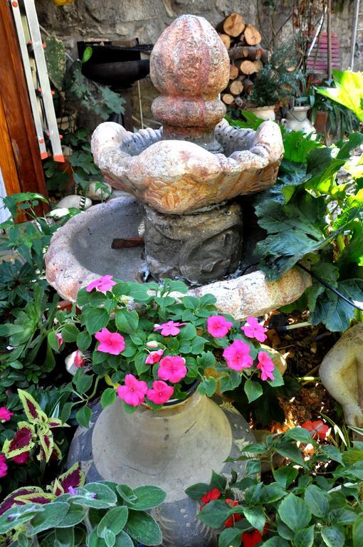 Cozy Garden Jerusalém Exterior foto