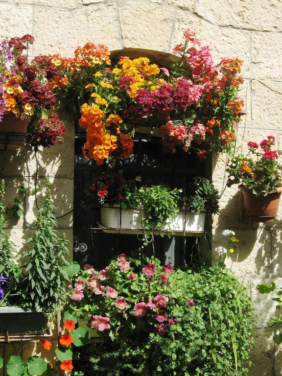 Cozy Garden Jerusalém Exterior foto