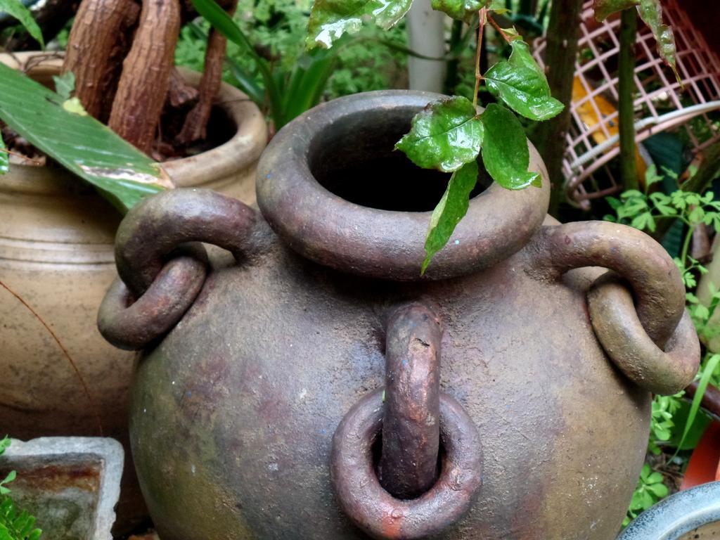 Cozy Garden Jerusalém Exterior foto