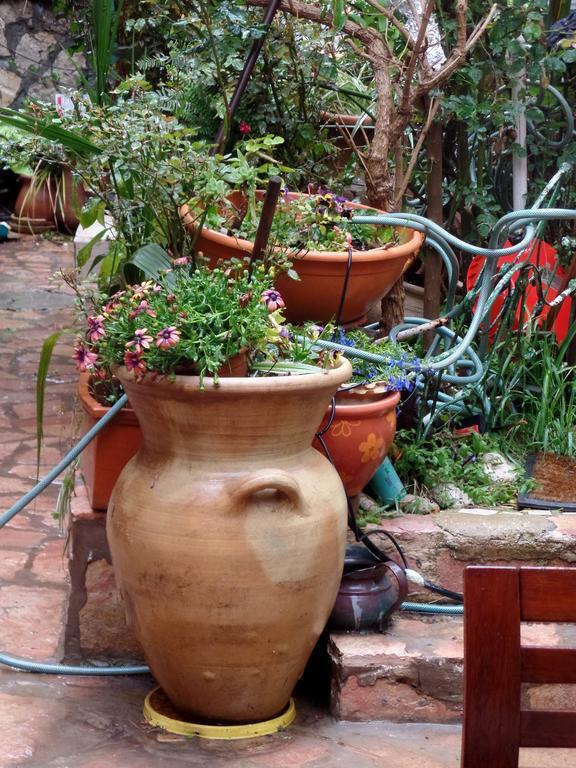 Cozy Garden Jerusalém Exterior foto