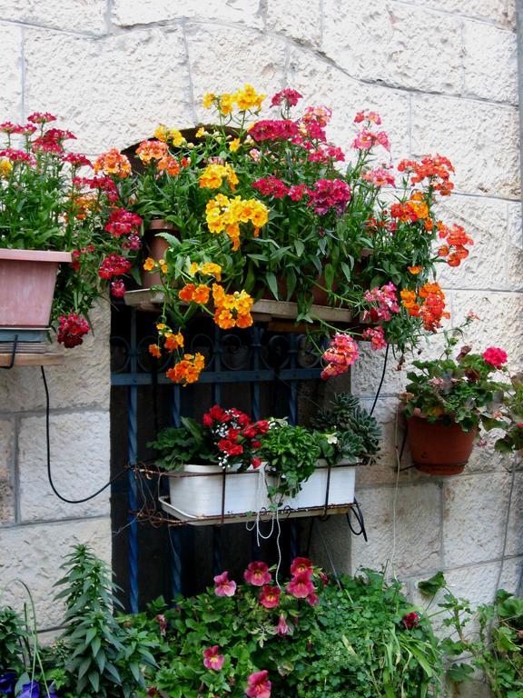 Cozy Garden Jerusalém Exterior foto