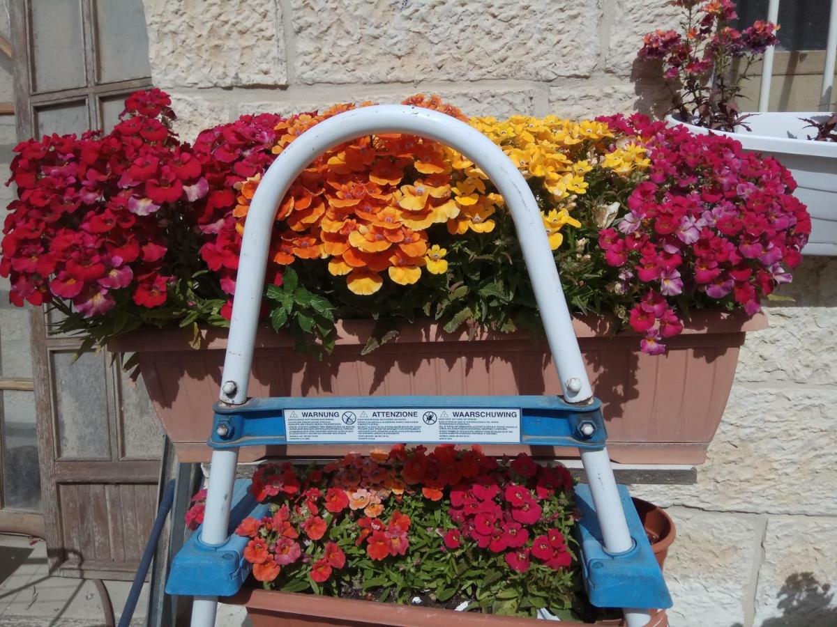 Cozy Garden Jerusalém Exterior foto